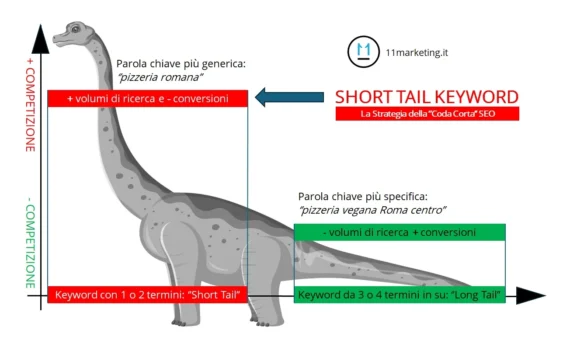 Principali Strategie SEO, Short Tail Keyword cosa sono, a cosa servono, perchè sono importanti, la Stratyegioa SEO della Coda Corta